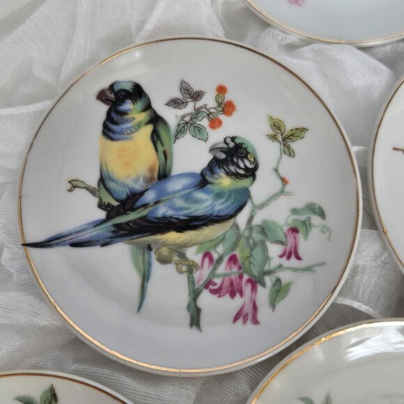 BIRDS! Set of 6 Vintage Bird Wall Plates – Mini Bird Plates with gold rim JAPAN - Picture 6 of 12